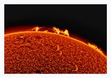 The Sun in Hydrogen Alpha with Solar Prominence