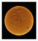 The Sun in Hydrogen Alpha with Solar Prominence