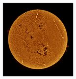 The Sun in Hydrogen Alpha with Solar Prominence