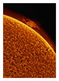 The Sun in Hydrogen Alpha with Solar Prominence
