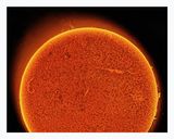 The Sun in Hydrogen Alpha with Solar Prominence