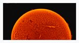 The Sun in Hydrogen Alpha with Solar Prominence