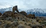 DSC_1145.jpg