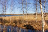 Sjöutsikt - view over the lake