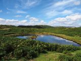 Lily Tarn Loughrigg Fell