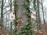 Interesting bird housing arrangement