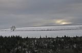 A bleak afternoon in January