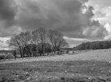 HDR Laden sky