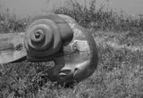 Fort La Latte - Chteau de La Roche Goyon - battering ram BW