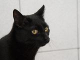 Young man newly arrived at the shelter