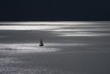 Lake Geneva - homeward bound