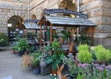 Chatsworth plant stalls