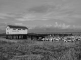 Pointe de Trvignon BW