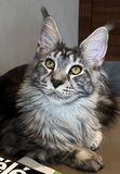 Spencer - 8 months