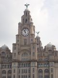 Liver Building