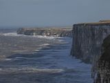 Bempton Cliffs