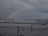 Wild North Sea