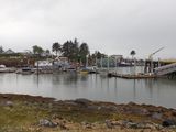 Wrangell harbour