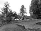 Wrangell - homestead on Petroglyph beach BW