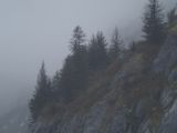 Tracy Arm - harsh conditions for vegetation growth