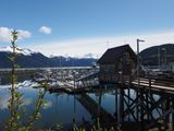 Haines marina and pier