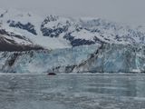 College Fjord - Harvard glacier