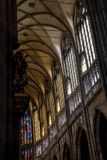 IMG_8019_1.jpg