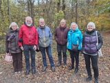 Duinen PWN Castricum