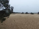 Stuifzand De Haere