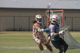 IMG_7320.jpg