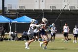 IMG_7835.jpg