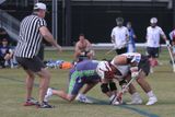 IMG_0749.jpg