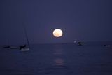 IMG_4586.jpg