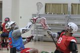 IMG_7559.jpg