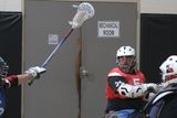 IMG_7637.jpg