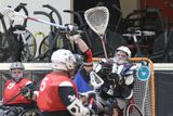 IMG_7666.jpg