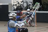 IMG_7703.jpg