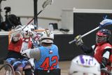 IMG_7894.jpg