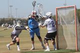 IMG_0990.jpg
