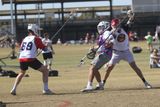 IMG_1154.jpg