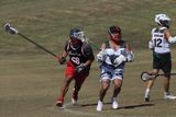 IMG_1362.jpg