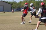 IMG_1409.jpg