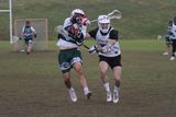 IMG_5290.jpg
