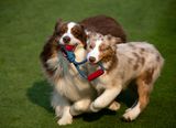 Darby_Pattern_GRH_8457_20250904_1600p.jpg