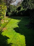 How Green Is My Valley