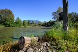 Mill Pond - Snoqualmie, WA