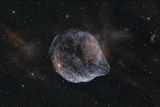 Dolphin Head Nebula - Sh2-308 in Canis Major