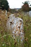 St Michaels churchyard Amberley