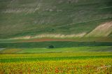 Castelluccio-0578.jpg