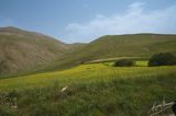 Castelluccio-0598.jpg